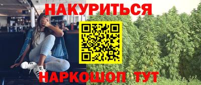 крисы Ливны