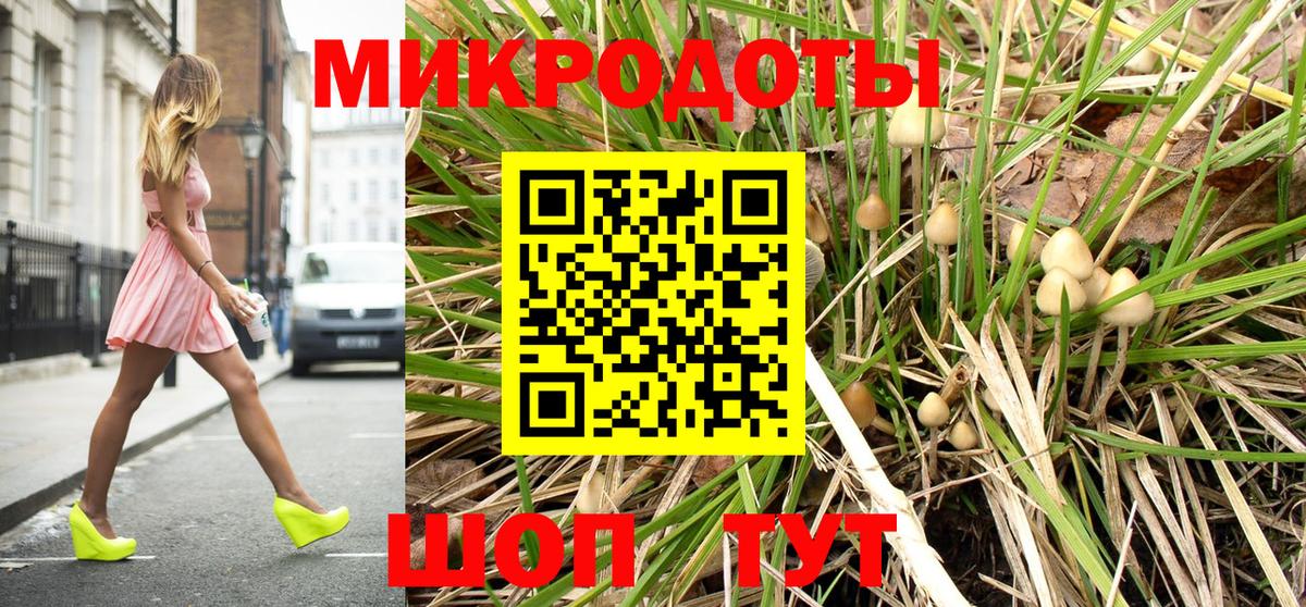 Усть-Илимск  Псилоцибиновые грибы Psilocybine cubensis  Вход с VPN  Галлюциногенные грибы Cubensis 