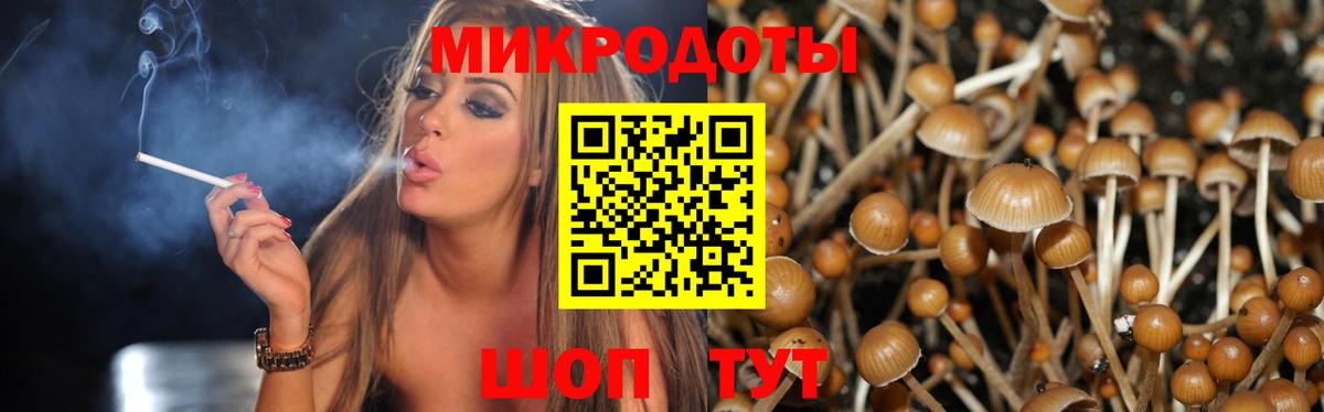 Псилоцибиновые грибы мухоморы Усть-Илимск